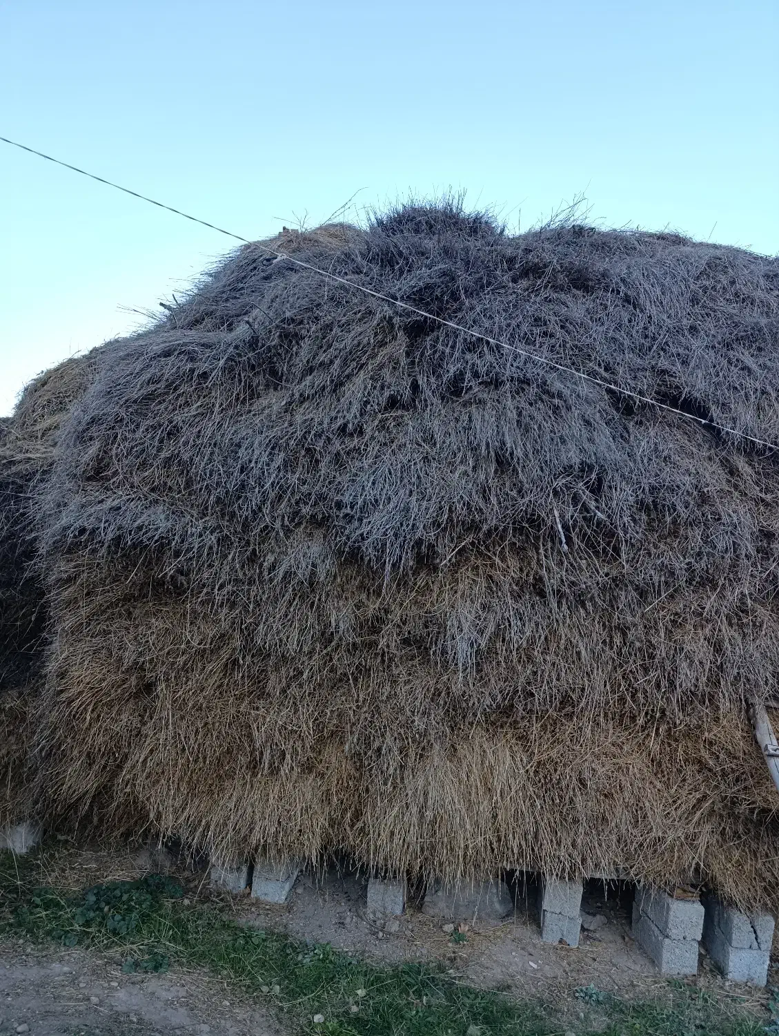 یونجه و علوفه|حیوانات مزرعه|مشگین شهر, |دیوار