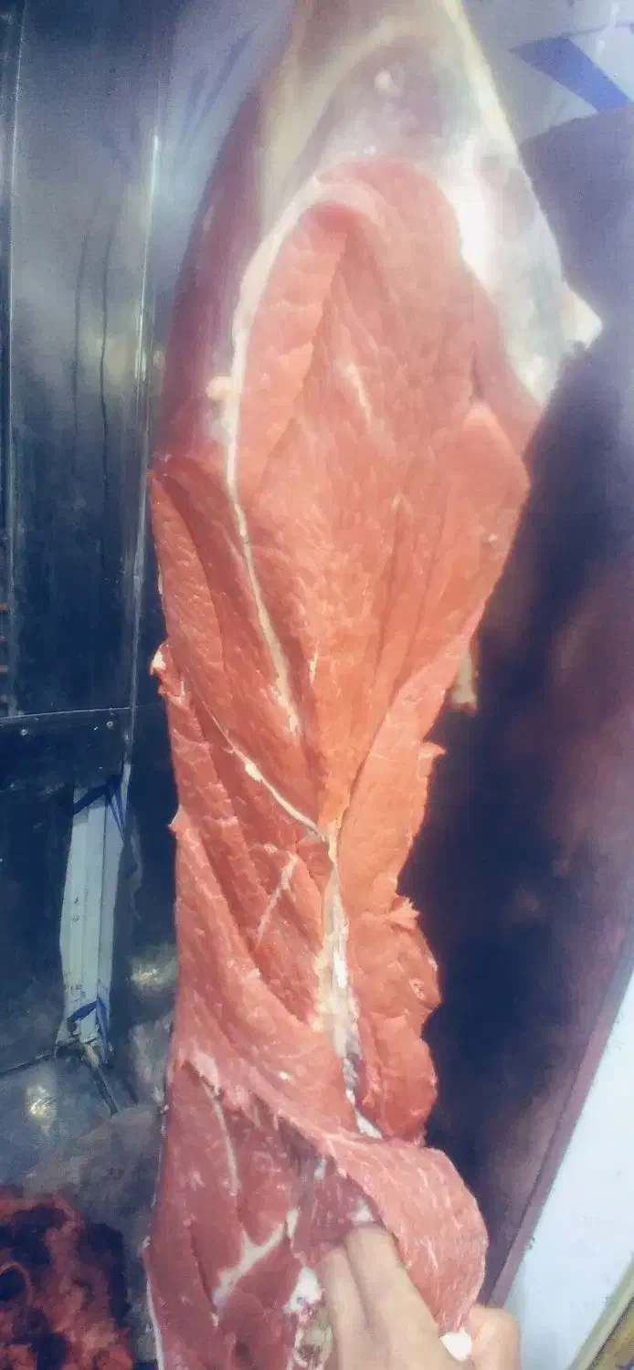 گوشت تازه کیفیت عالی|خوردنی و آشامیدنی|نوشهر, |دیوار