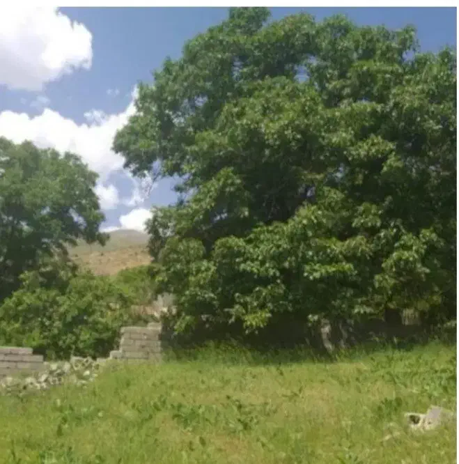 آبعلی ۴۰۳ متر|فروش زمین و ملک کلنگی|آبعلی, |دیوار