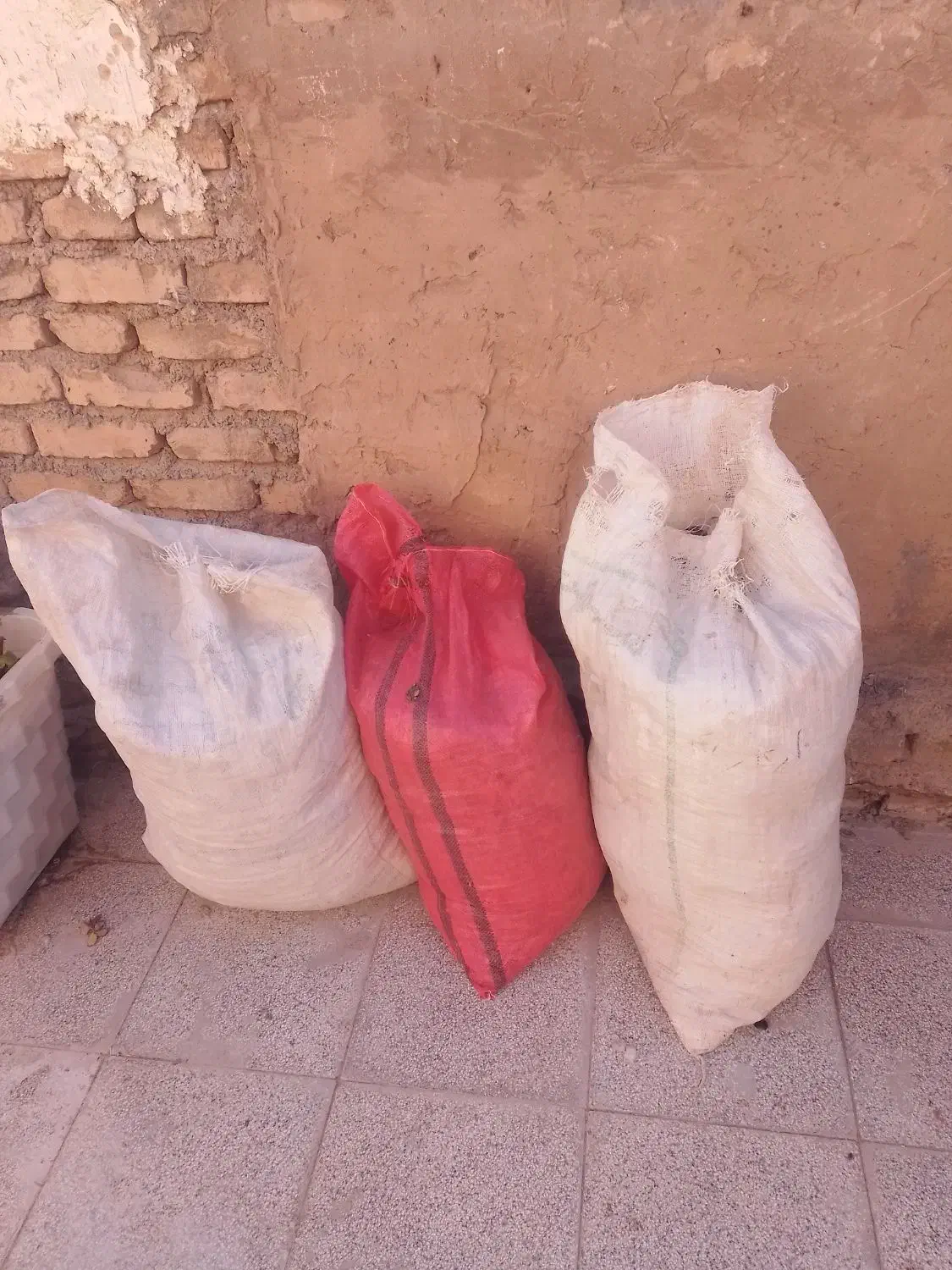 کود کفتر|گل و گیاه طبیعی|قوچان, |دیوار