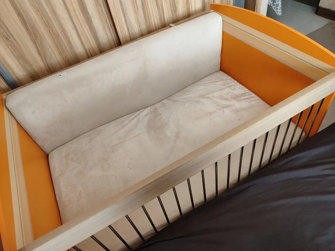 تخت گودک ونوجوان|تخت و سرویس خواب|تربت جام, جامی|دیوار