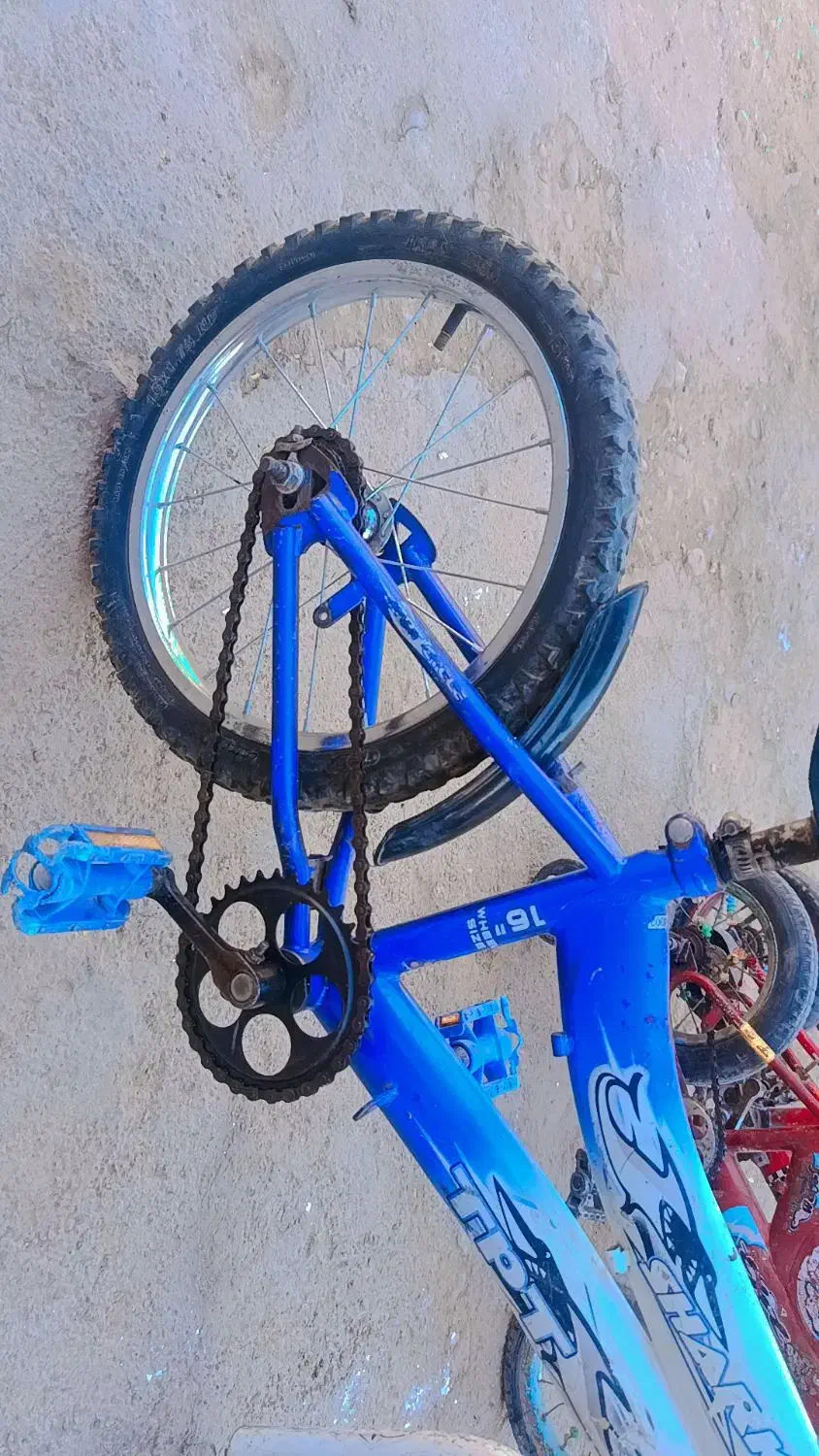 دوچرخه 16|دوچرخه، اسکیت، اسکوتر|شاهرود, |دیوار