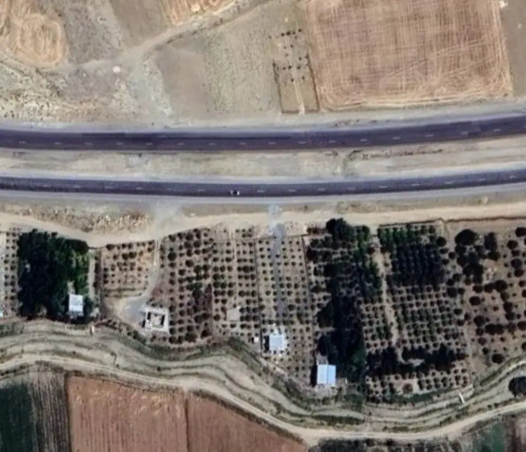 ۱۹۰۰ متر باغ ابتدای کمربندی کنگاور ،زیر قیمت ایران|فروش دفتر صنعتی، کشاورزی، تجاری|کنگاور, |دیوار