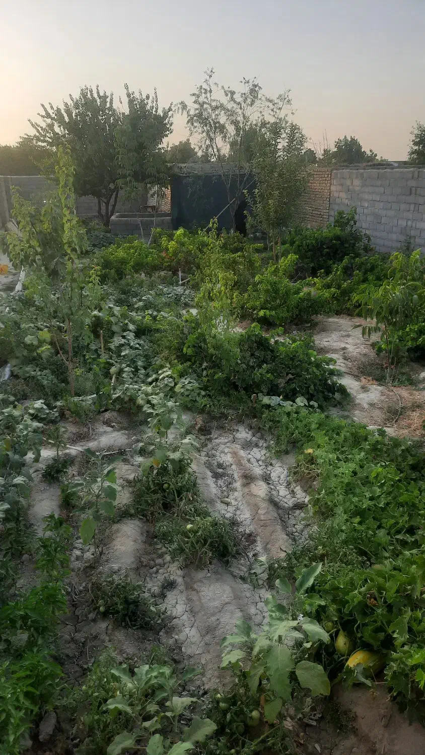 باغ درحوالی چناران دارای ۴۰۰متر مساحت|فروش خانه و ویلا|چناران, |دیوار