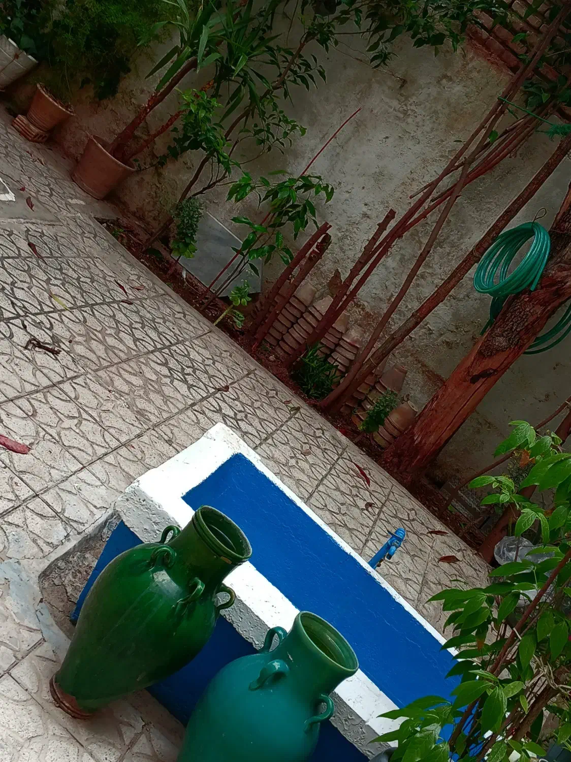 منزل مبله قصرالدشت|اجارهٔ کوتاهمدت آپارتمان و سوئیت|شیراز, میرزاکوچک خان|دیوار