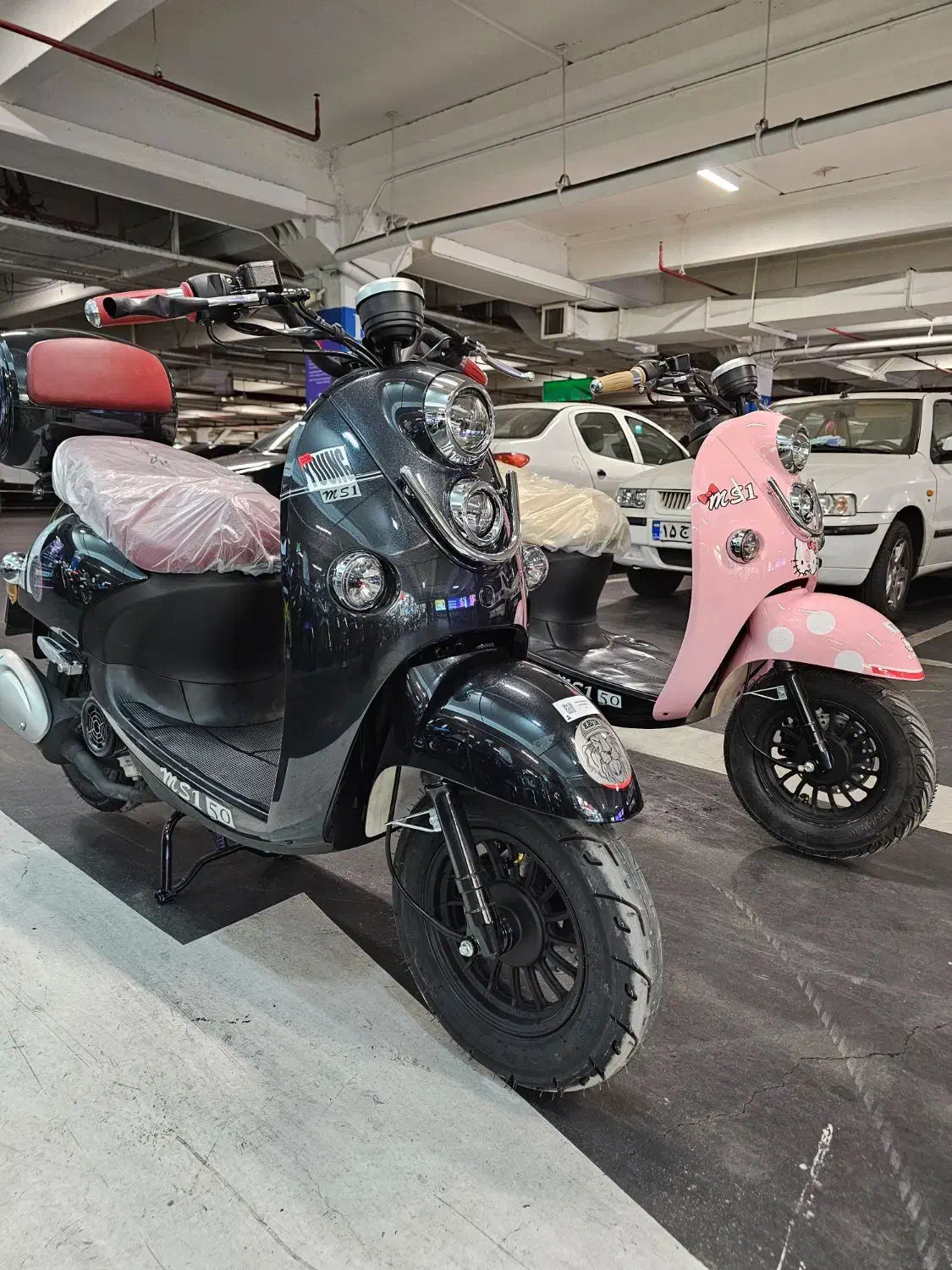 پاکشتی اتوماتMS1 50cc کویر ویژه بانوان ۲۴ ماه قسط|موتورسیکلت|تهران, صادقیه|دیوار