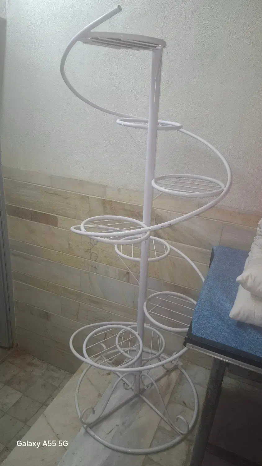 استندگل و گلدان خالی|گل و گیاه طبیعی|کرمان, |دیوار