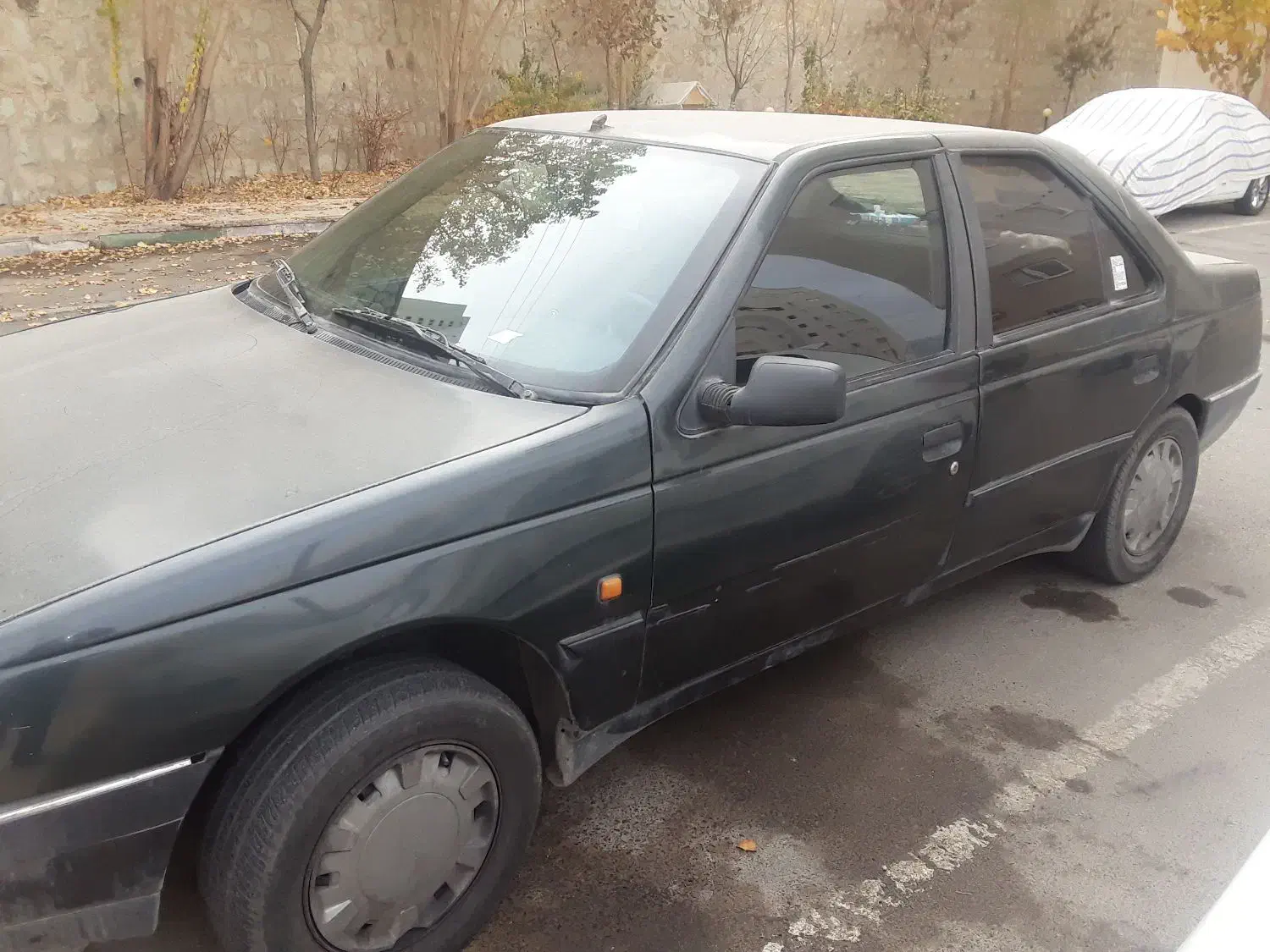 پژو ۴۰۵ مدل ۸۱ انژکتور|خودرو سواری و وانت|پردیس, فاز ۱۱|دیوار