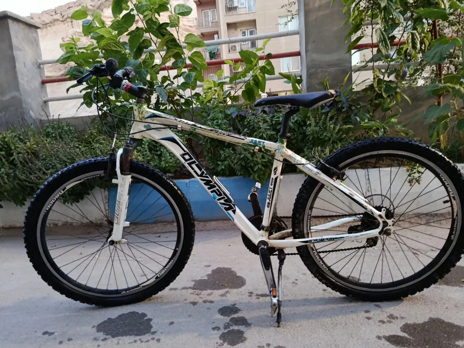 دوچرخه المپیک 26|دوچرخه، اسکیت، اسکوتر|بندرعباس, |دیوار