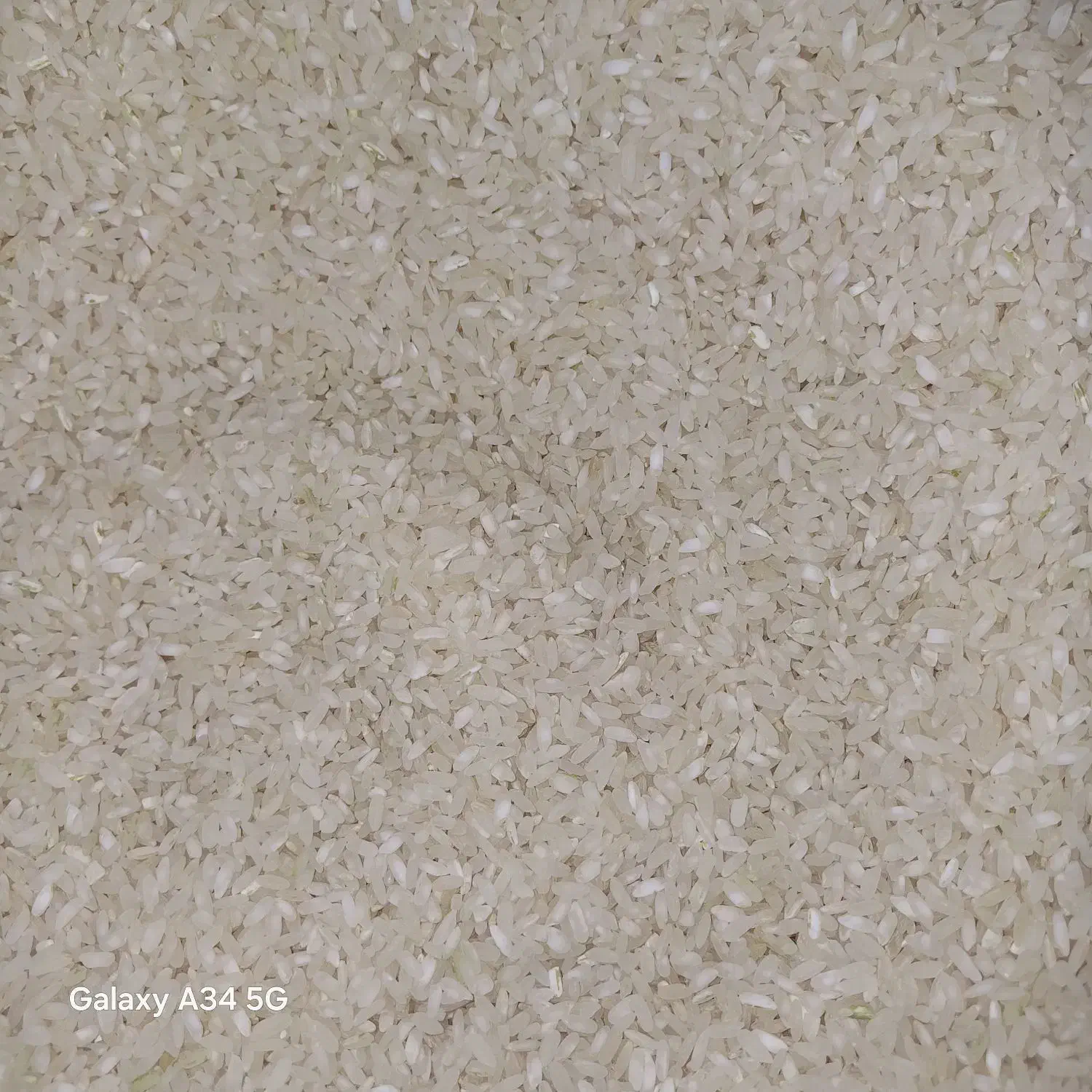 برنج کامفیروزی درجه یک|خوردنی و آشامیدنی|کر, |دیوار