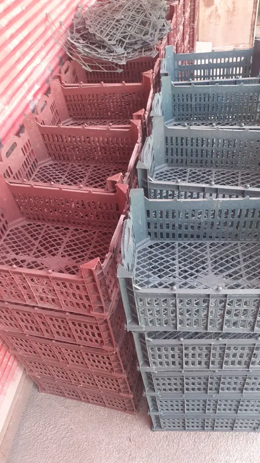 جعبه سیب و ...|ظروف نگهدارنده، پلاستیکی، یک‌بارمصرف|مهاباد (آذربایجان غربی), |دیوار