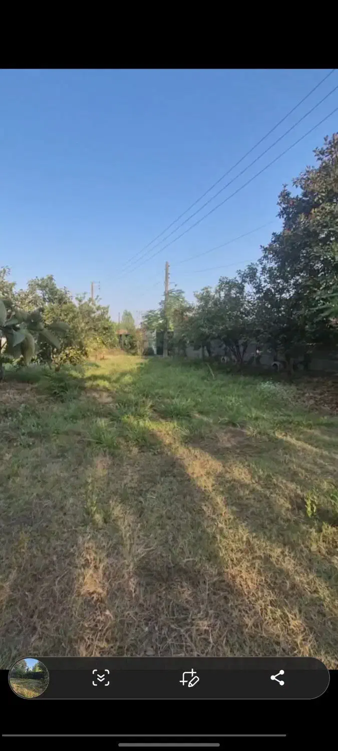 فروش زمین۳۳۵ مسکونی سه نبش/ جوازساخت/درب اختصاصی|فروش زمین و ملک کلنگی|نشتارود, |دیوار