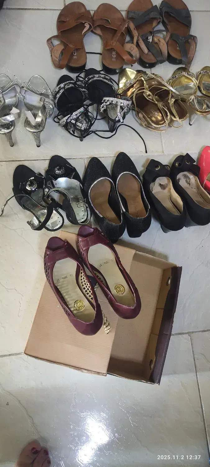 فروش کفش مجلسی|کیف، کفش، کمربند|شیراز, گلکوب|دیوار