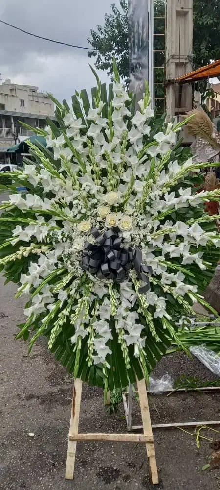 گلکده لنالند|گل و گیاه طبیعی|قائمشهر, |دیوار