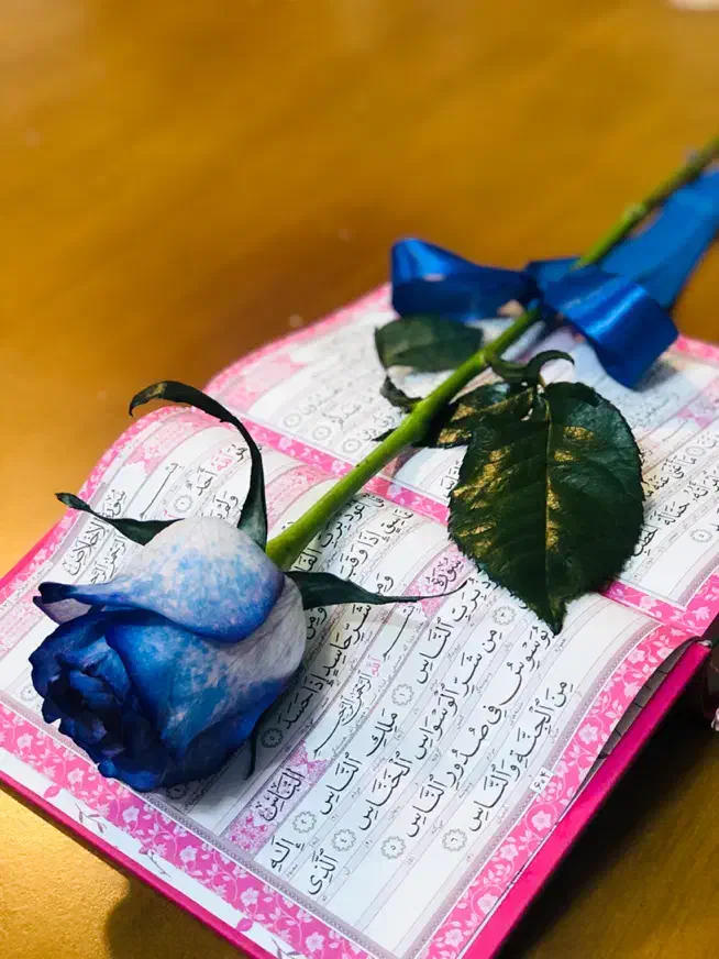 مداحی|خدمات پذیرایی، مراسم|گرگان, |دیوار