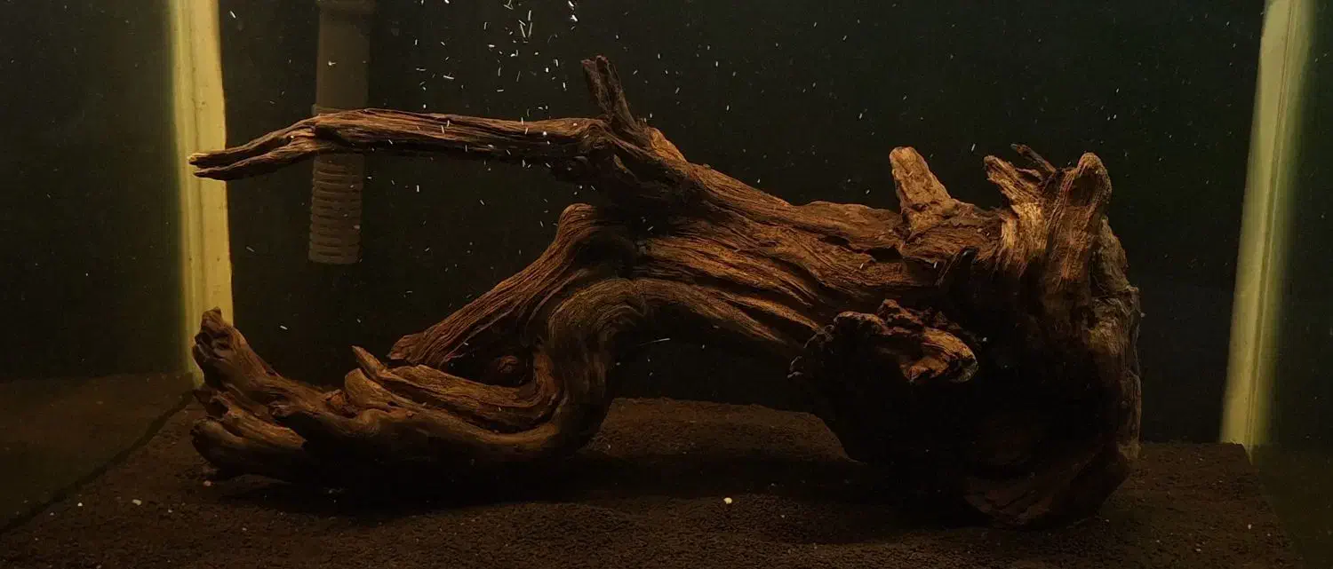 چوب آکواریوم|ماهی|تهران, دارآباد|دیوار