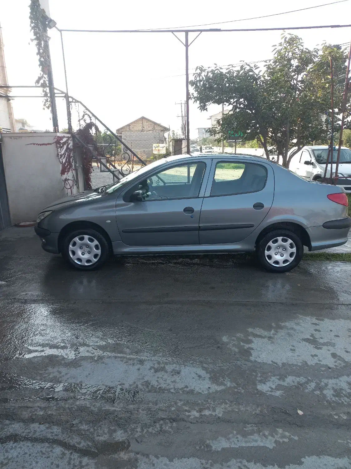 پژو ۲۰۶ اس دی وی ۸ مدل ۹۶|خودرو سواری و وانت|تنکابن, |دیوار