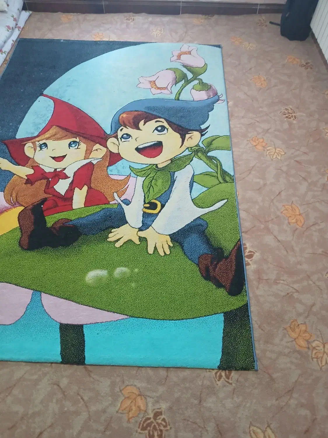 گلیم و موکت|گلیم، جاجیم، گبه|هشتگرد, شهرک پارسیان|دیوار