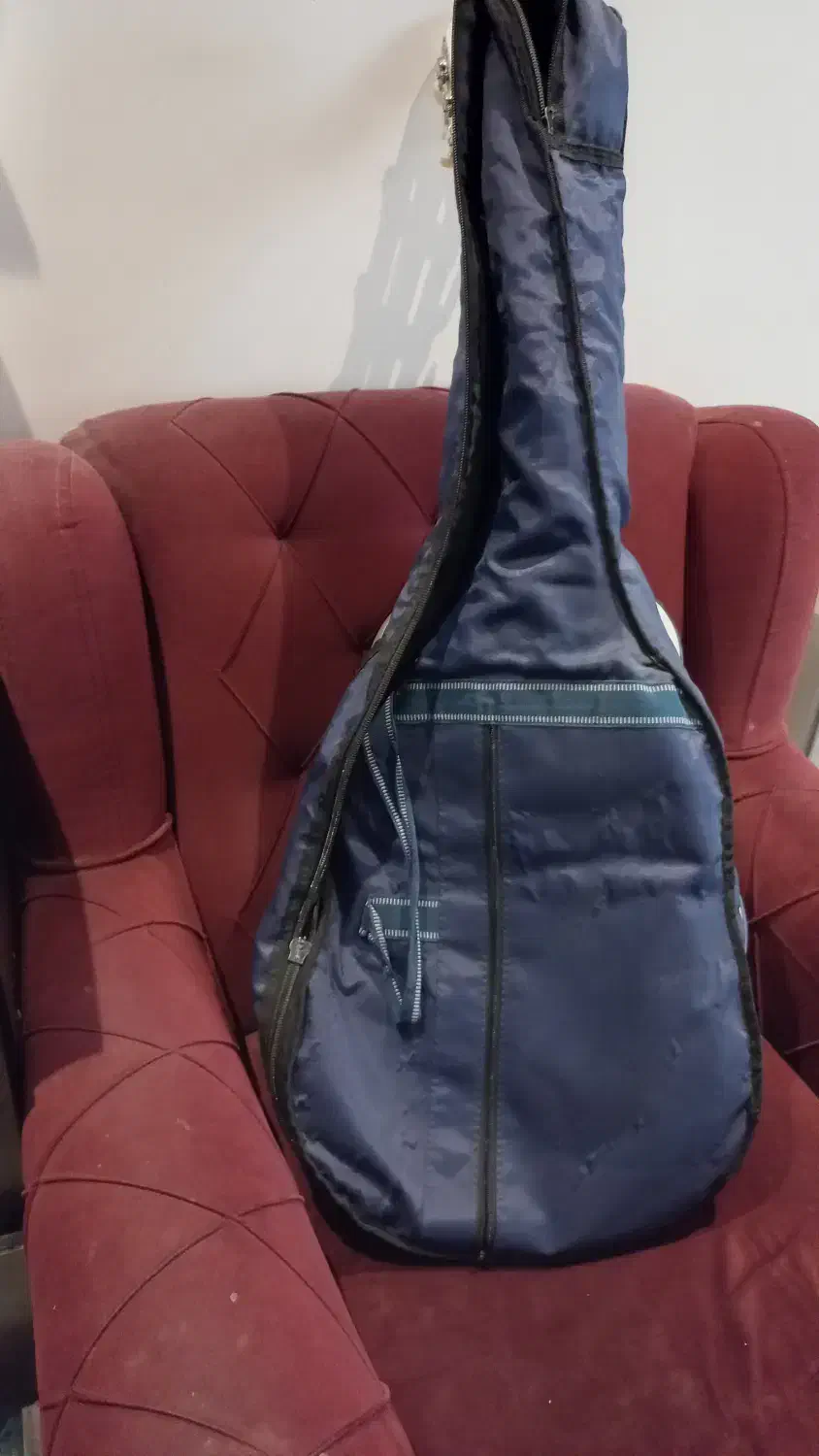 گیتار رویال دارای هالوگرام|گیتار، بیس، امپلیفایر|کرج, شهرک جهاننما|دیوار