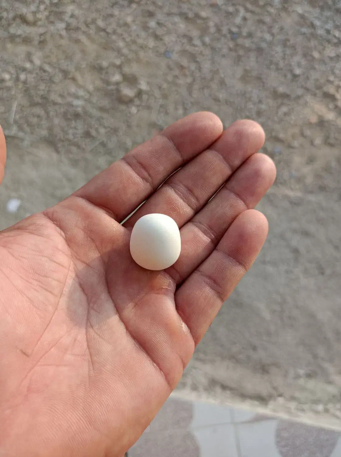 سنگ آسیاب قیمتی|جواهرات|کلاله, |دیوار