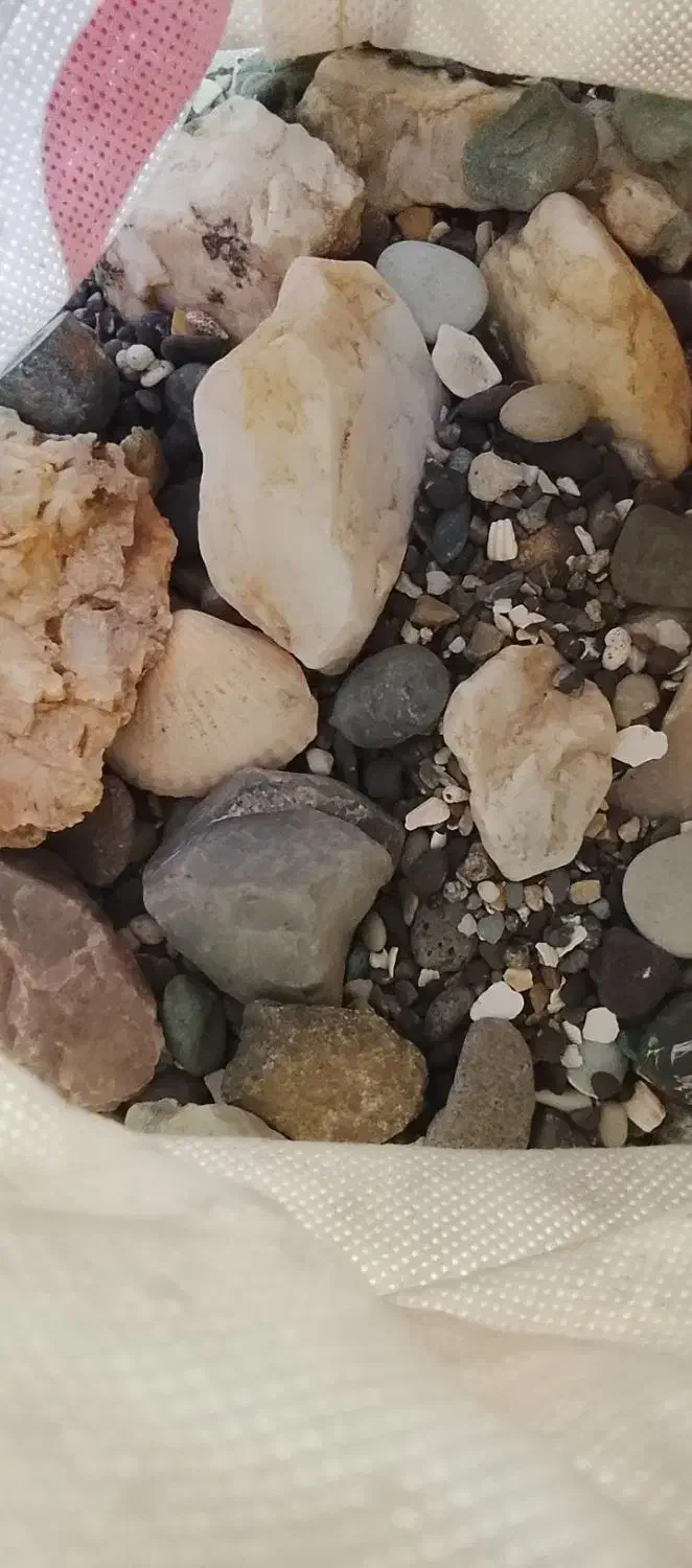 شن وسنگ اکواریوم|ماهی|ملایر, |دیوار