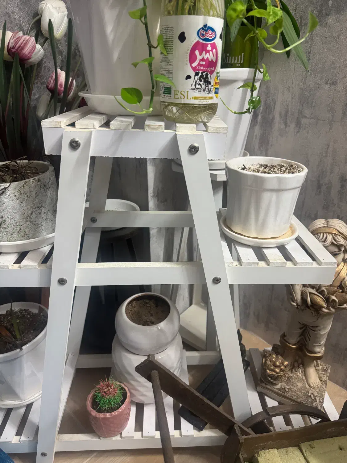 استند گلدون چوبی|گل و گیاه طبیعی|سمنان, |دیوار