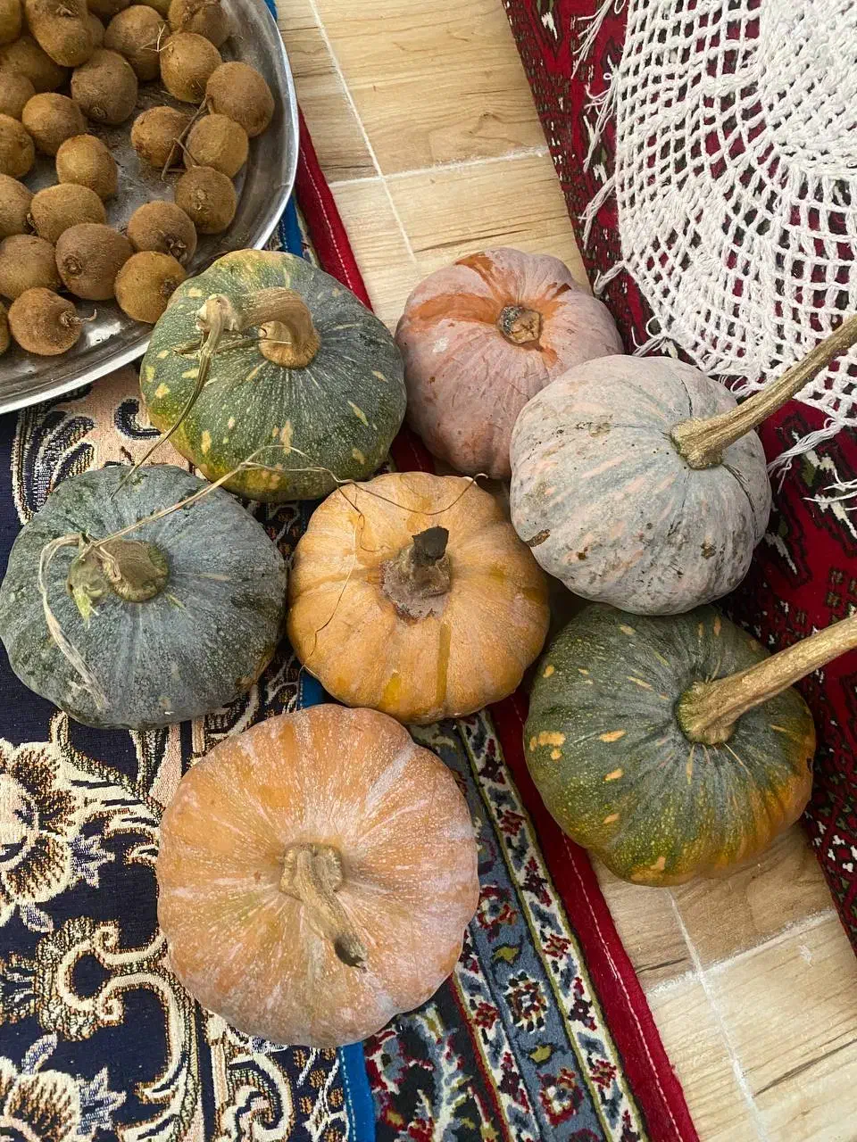 تعدادی کدو|خوردنی و آشامیدنی|واجارگاه, |دیوار