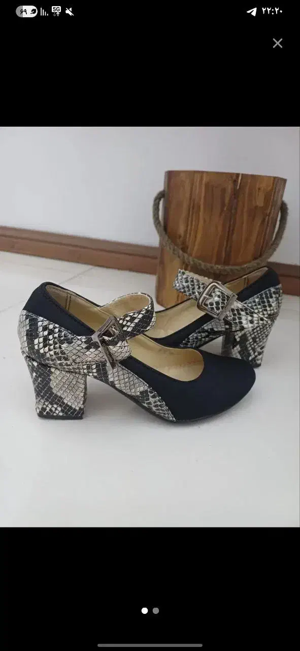 کفش مجلسی|کیف، کفش، کمربند|بجنورد, |دیوار