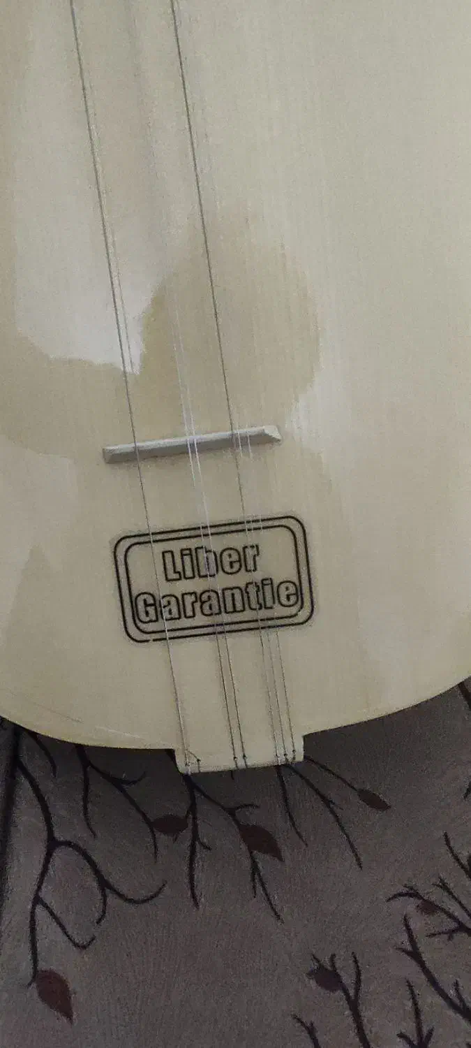 فروش|سازهای سنتی|قروه, |دیوار