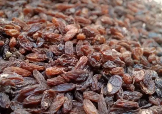 کشمش|خوردنی و آشامیدنی|نیشابور, جمهوری|دیوار
