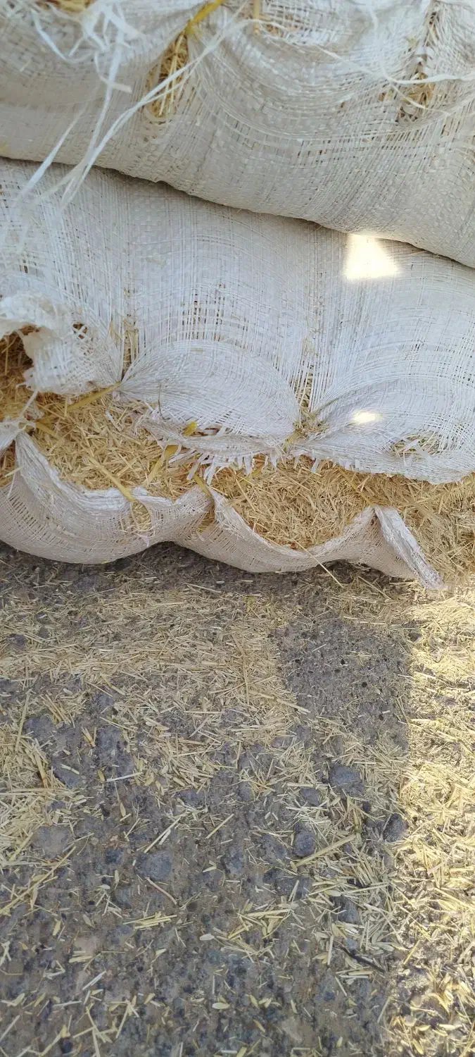 کاه درجه یک رسید|عمدهفروشی|زابل, |دیوار