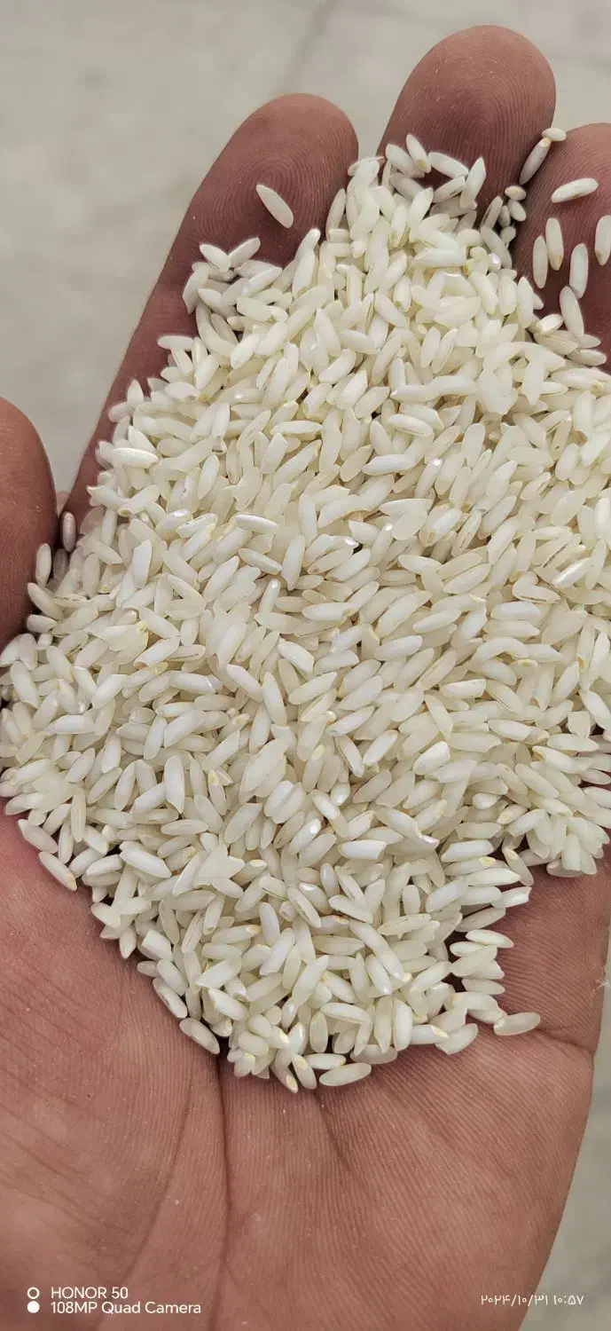 برنج عنبربو|خوردنی و آشامیدنی|کارون, |دیوار