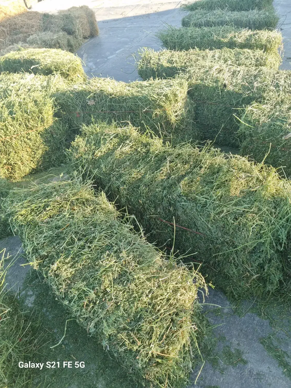 پرس یونجه چین چهار پرگل.وبیست عدد پرس شبدر چین دو|لوازم جانبی حیوانات|بروجرد, |دیوار