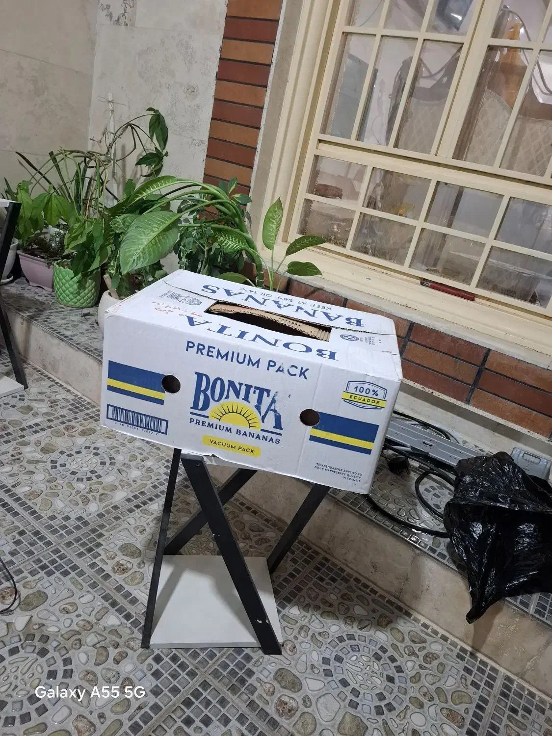 کارتن موزی فروش فوری|ابزارآلات|دوگنبدان, |دیوار