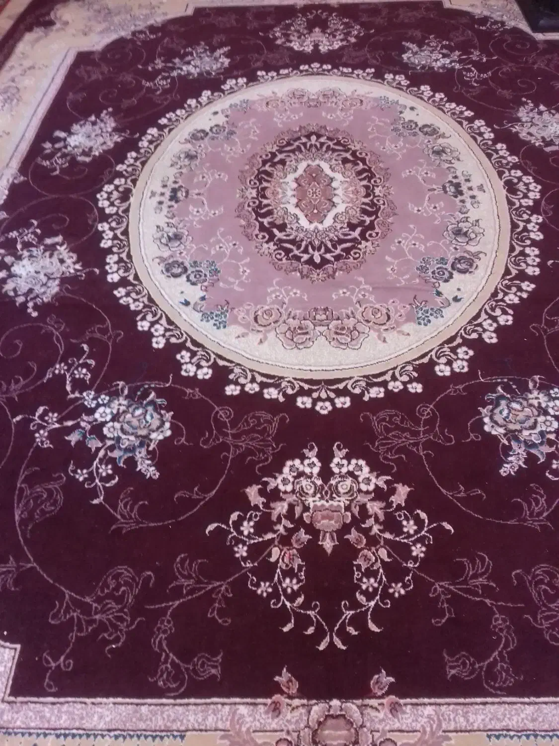 قالی|فرش|شهرکرد, |دیوار