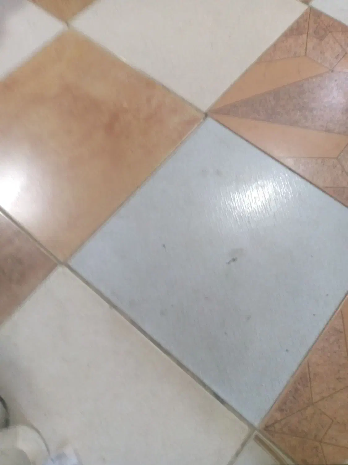 منزل مسکونی|اجارهٔ آپارتمان|دهلران, |دیوار