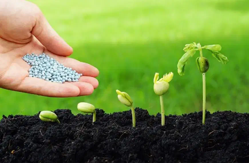 فرمولاسیون کودشیمیایی فرمول کودکشاورزی تولیدی|خدمات آموزشی|تهران, آرژانتین|دیوار