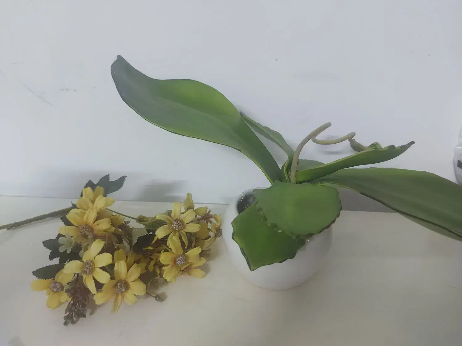 گل مصنوعی|گل مصنوعی|بیرجند, |دیوار