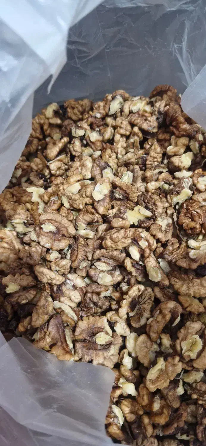فروش مغز گردو تازه تویسرکان|خوردنی و آشامیدنی|اسلامشهر, شهرک قائمیه|دیوار