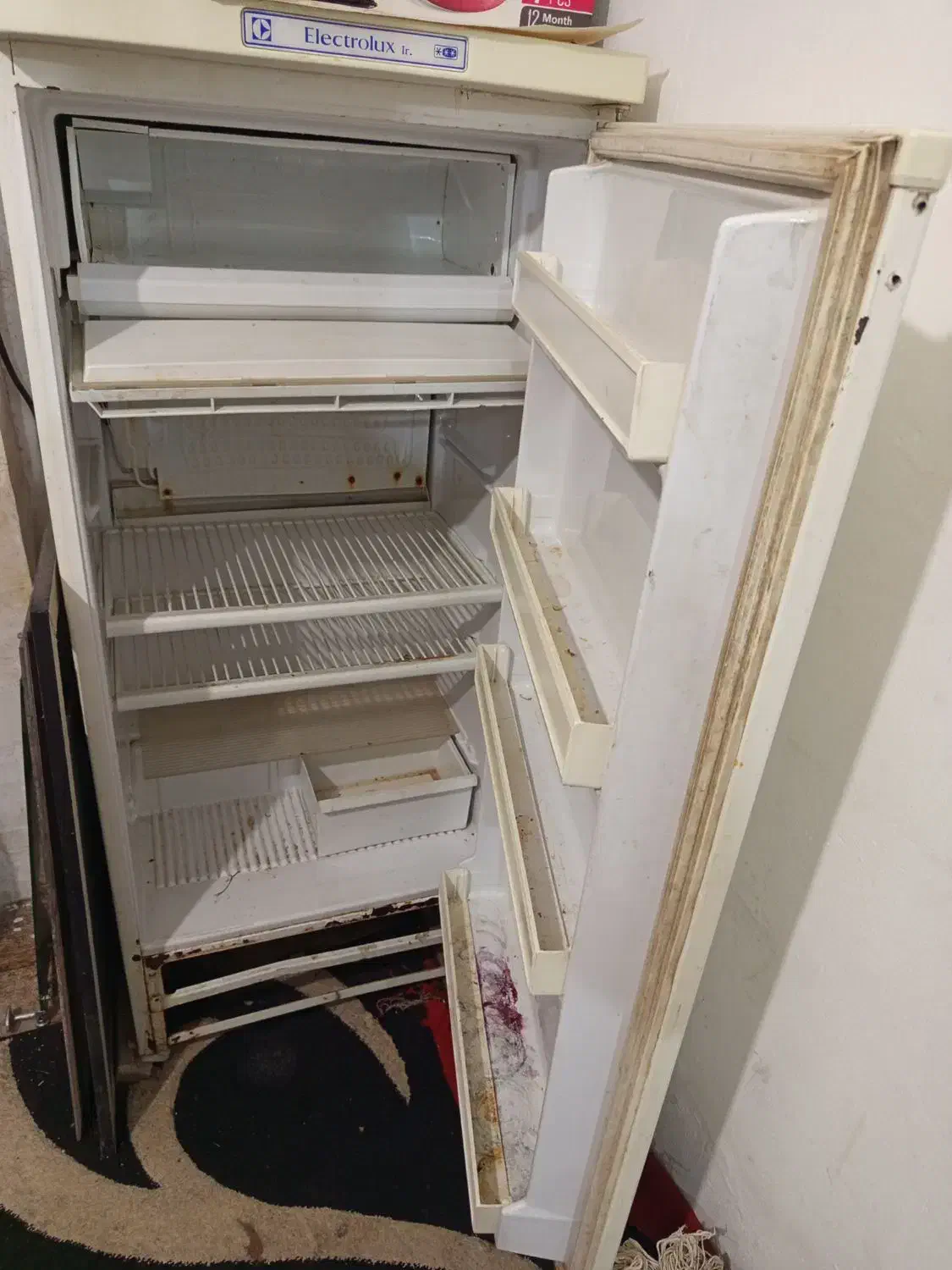 یخچال|یخچال و فریزر|بم, |دیوار