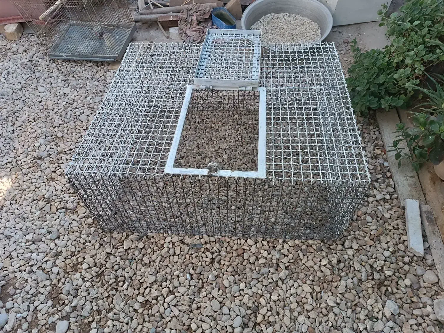 گنجه کبوتر|لوازم جانبی حیوانات|شیراز, شهرک کوشکک|دیوار