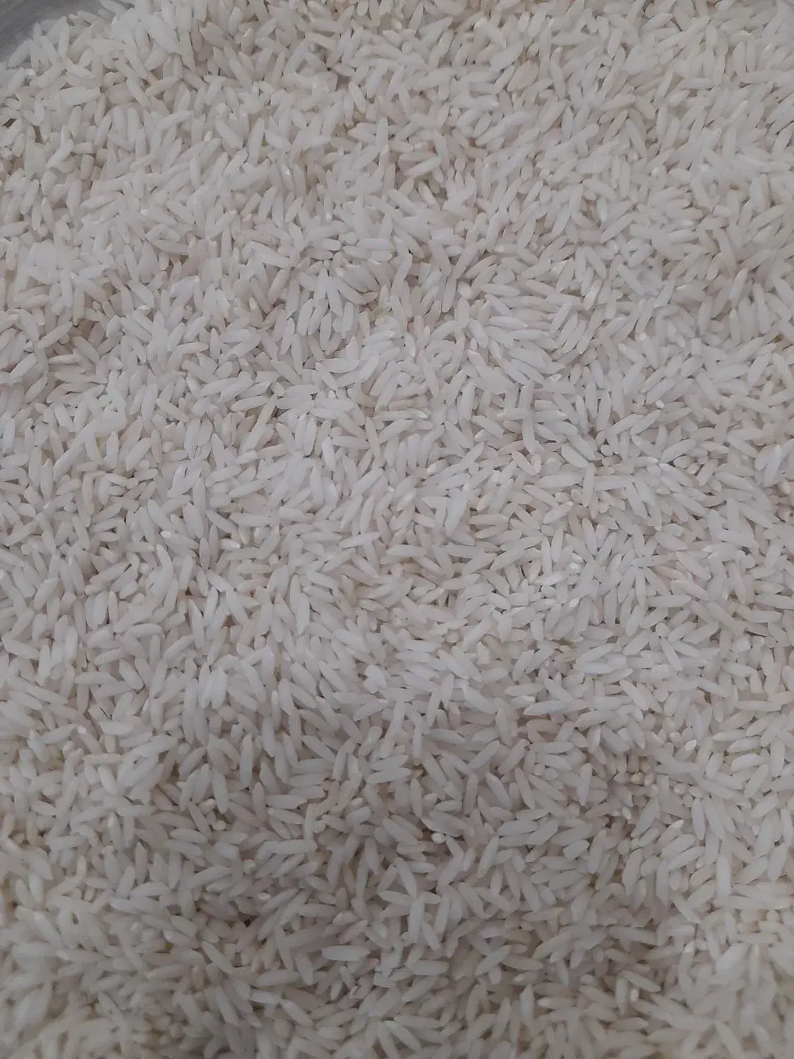 برنج علی کاظمی|عمده‌فروشی|بیرانوند, |دیوار