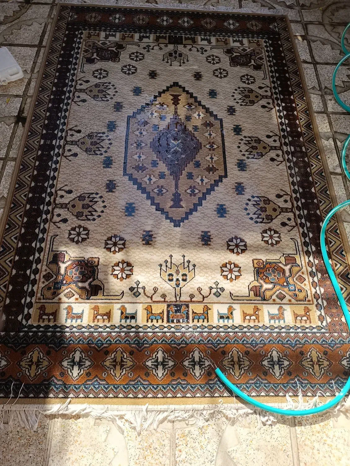 گلیم|گلیم، جاجیم، گبه|کرمانشاه, |دیوار