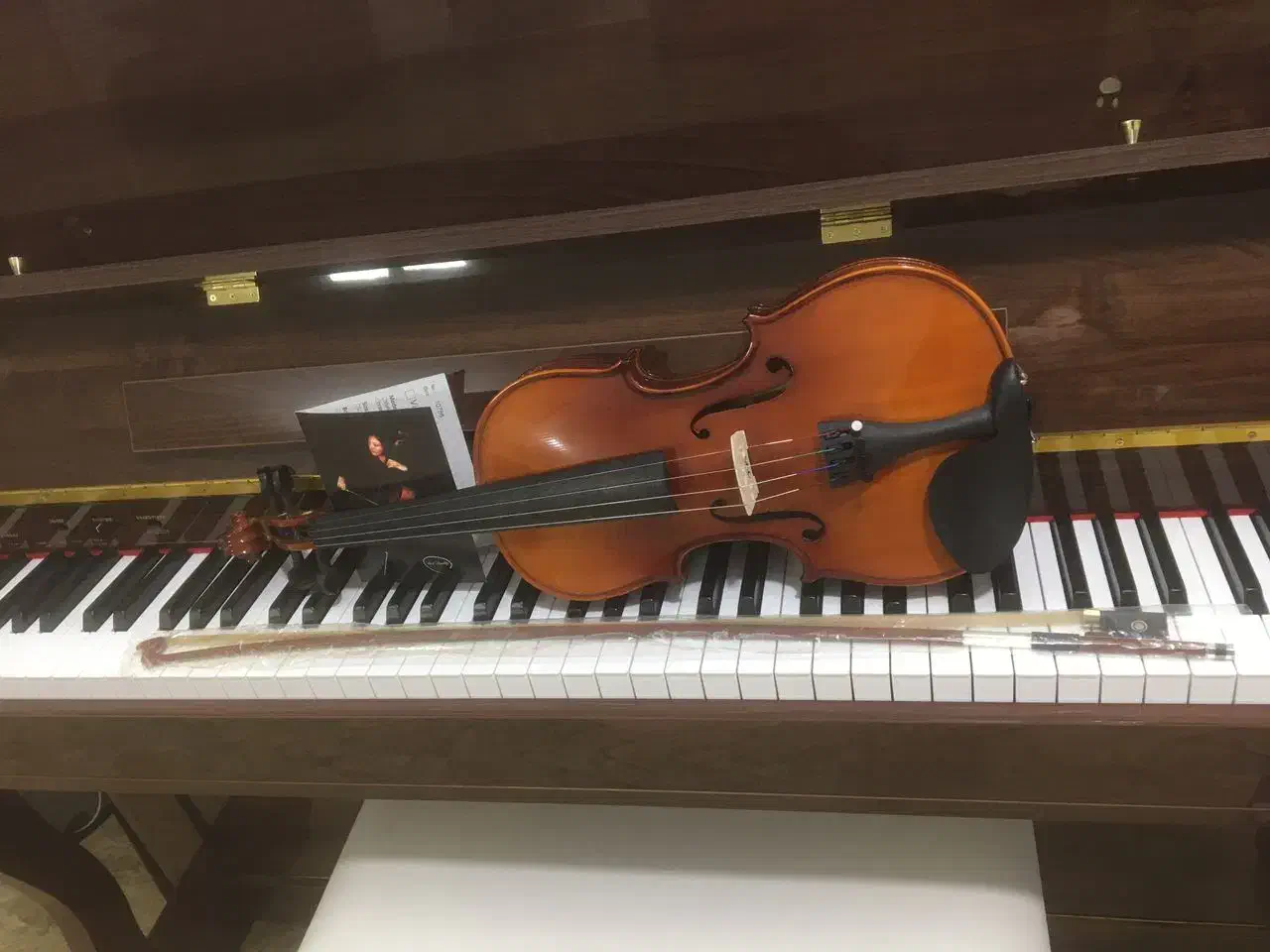 ویولن|ویولن|کرج, برغان|دیوار