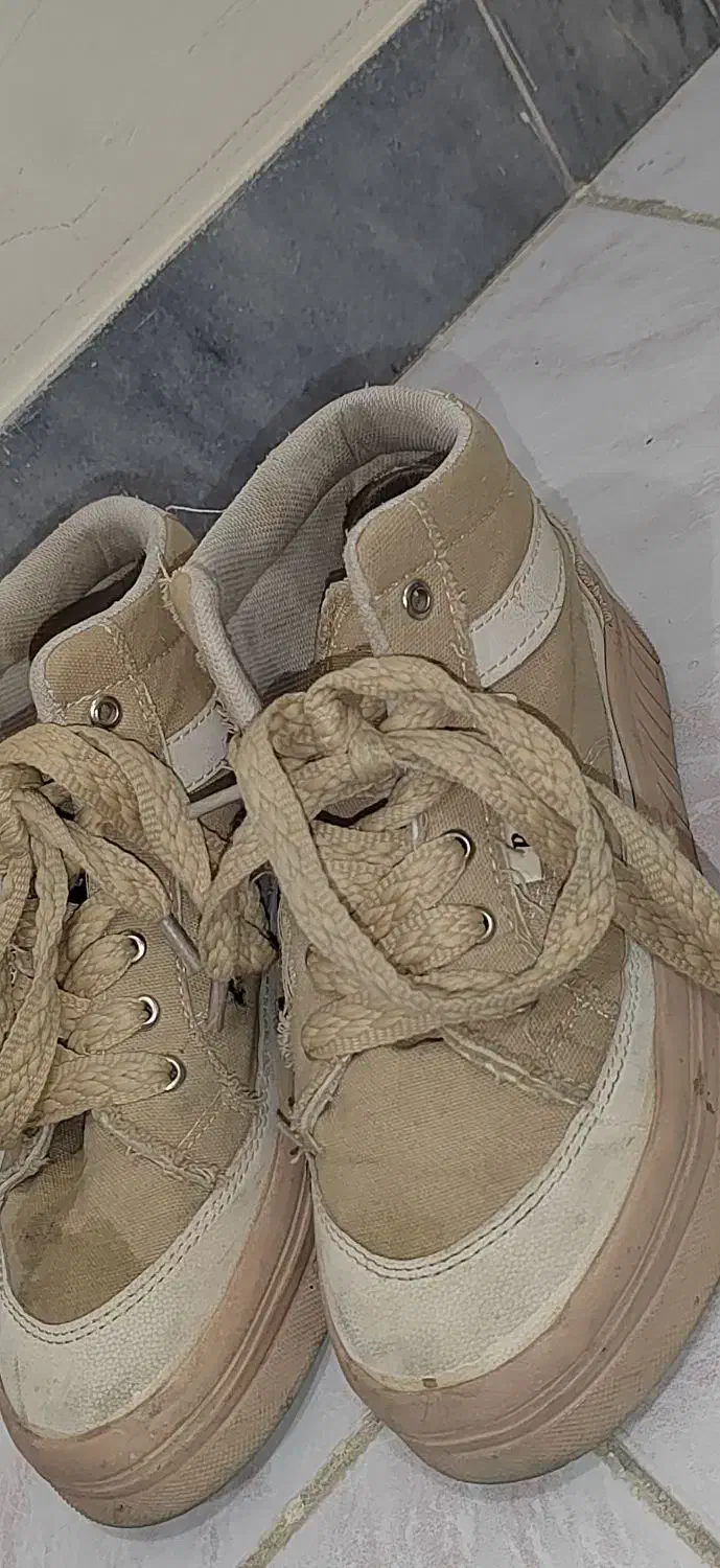 نیم بوت کرمی|کیف، کفش، کمربند|مریوان, |دیوار