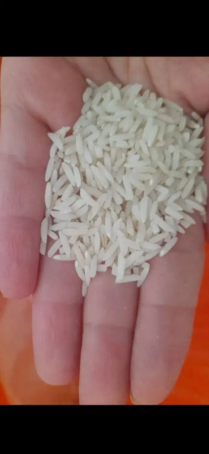 برنج هاشمی|خوردنی و آشامیدنی|سنگر, |دیوار