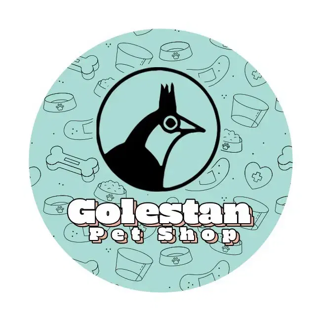 فروش انواع پرنده درجه یک و لوازم خارجی وکار تهران|پرنده|بیرجند, |دیوار