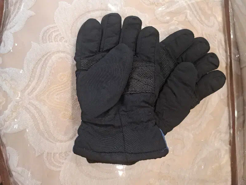 دستکش پیدا شده|اشیا|همدان, |دیوار