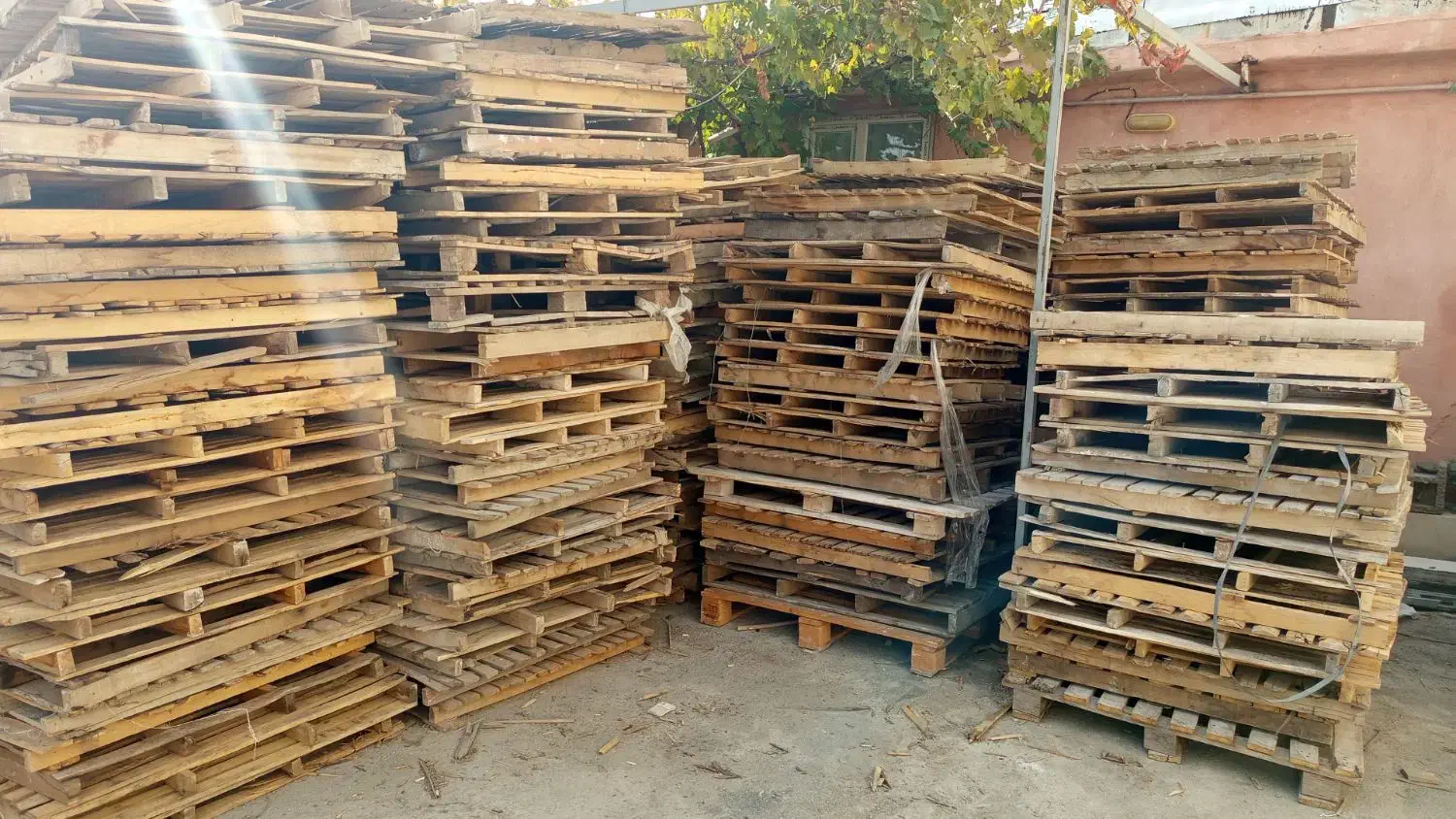 پالت در انواع سایز موجود داریم برای فروش|عمدهفروشی|ربط, |دیوار