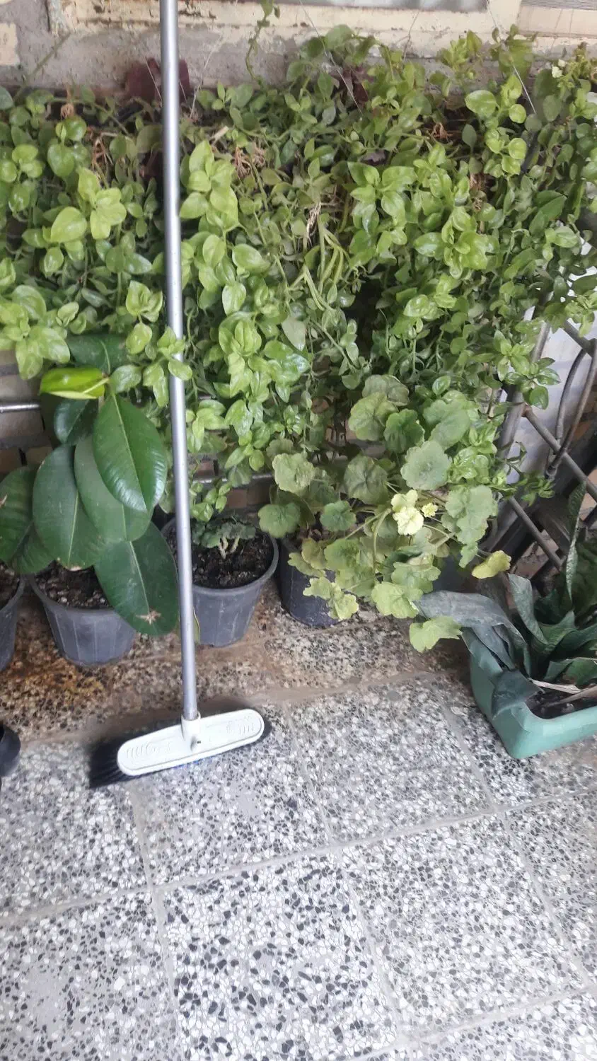 تمیز کاری راه پله|خدمات نظافت|گنبد کاووس, |دیوار